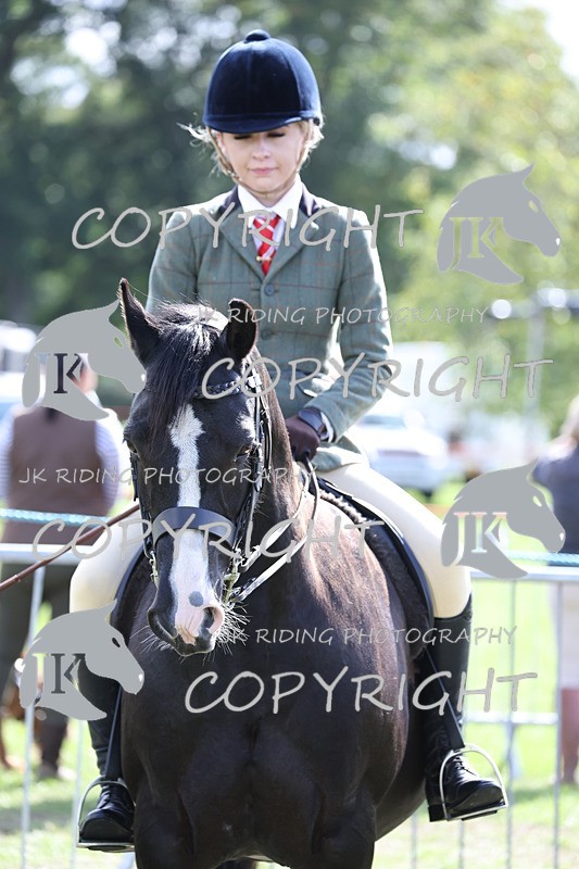 APP_3701 - Class 12 M&M ridden