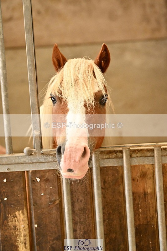 250821B-140949-00486 - Stable Shots and Group Photo