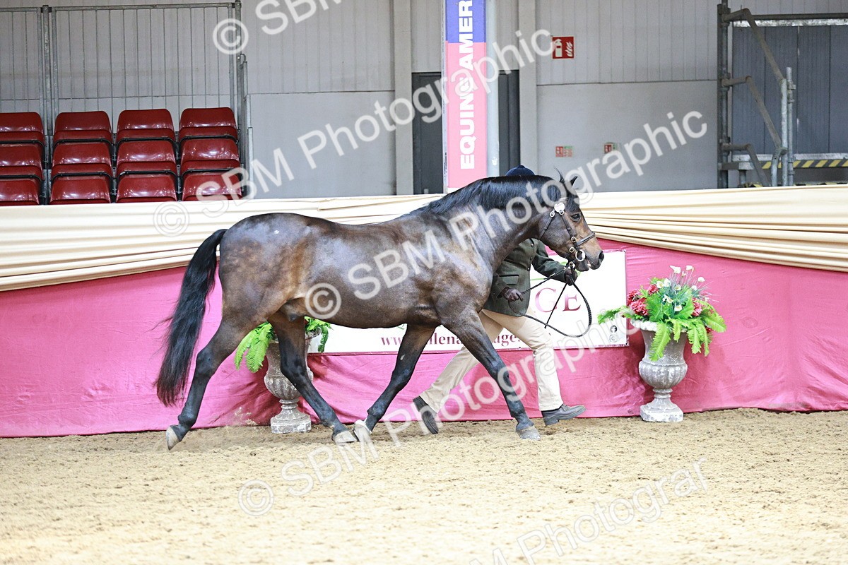 SBM_04672_Class 7r - Regional - IH Hand - Julie Moxon