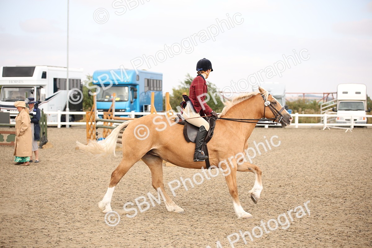 SBM_16210 - Class 409a - Working Veteran 80cm (15-19)