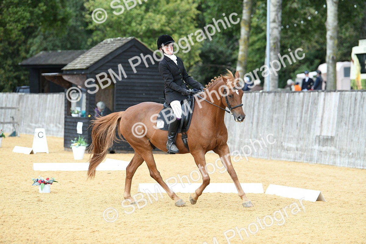 SBM_10969 - D28 Elementary Taster Elementary 42