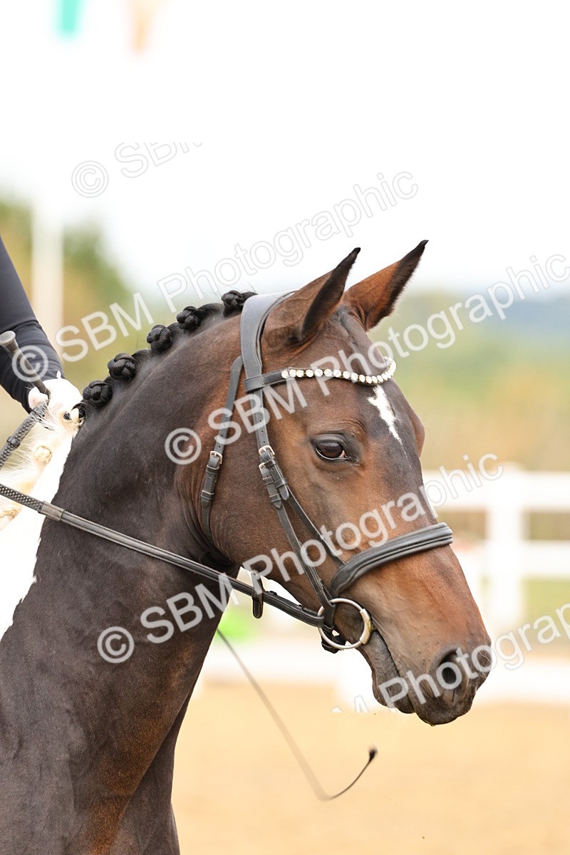 SBM_011464 - Class 1 - Prelim 4