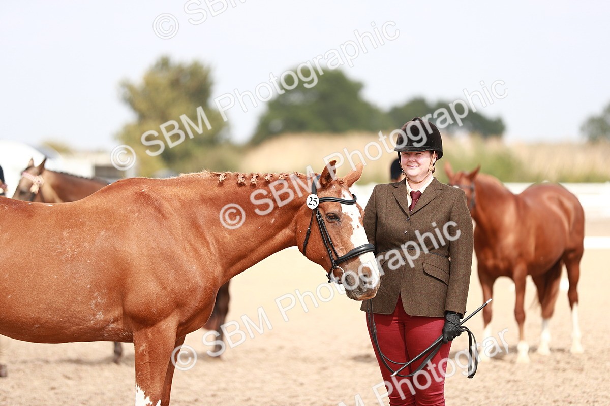 SBM_13287 - Class 208 IH Veteran Horse