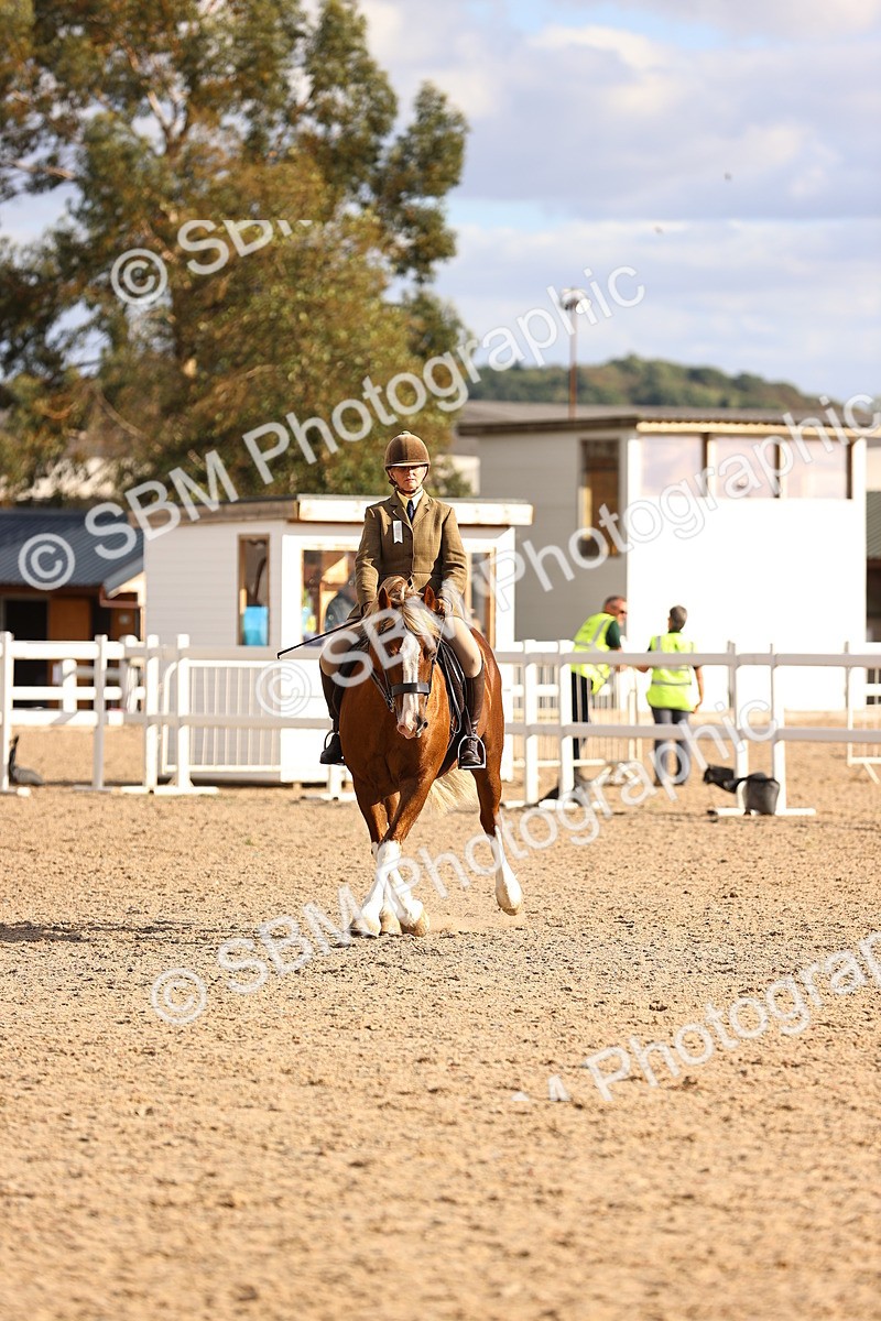 SBM_18257 - Class 423 - Equitation (best rider) Adult