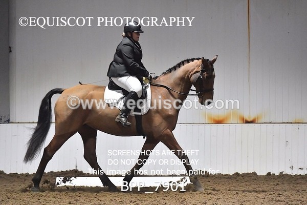 BPP_7901 - INTRO TEST 3