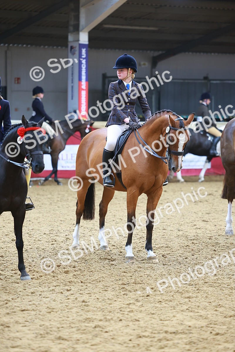 SBM_12648 - Class 103 - HOYS Veteran Qualifier - Ridden Pre Vet