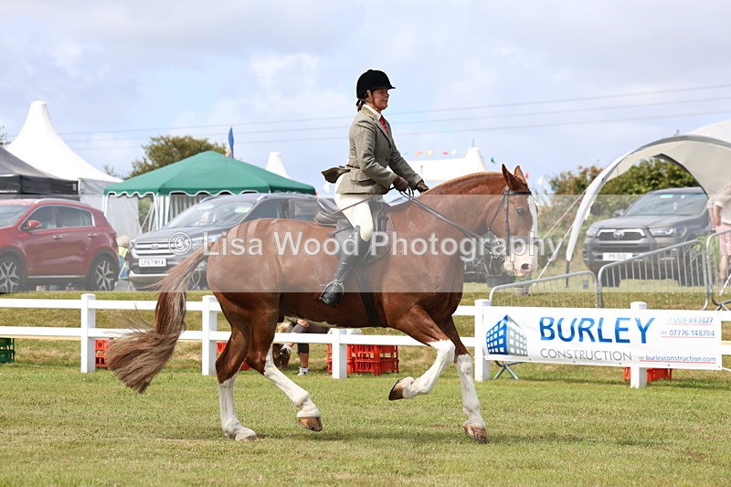 3E7A0172 - Class 6: Rising Star Maxi Cobs