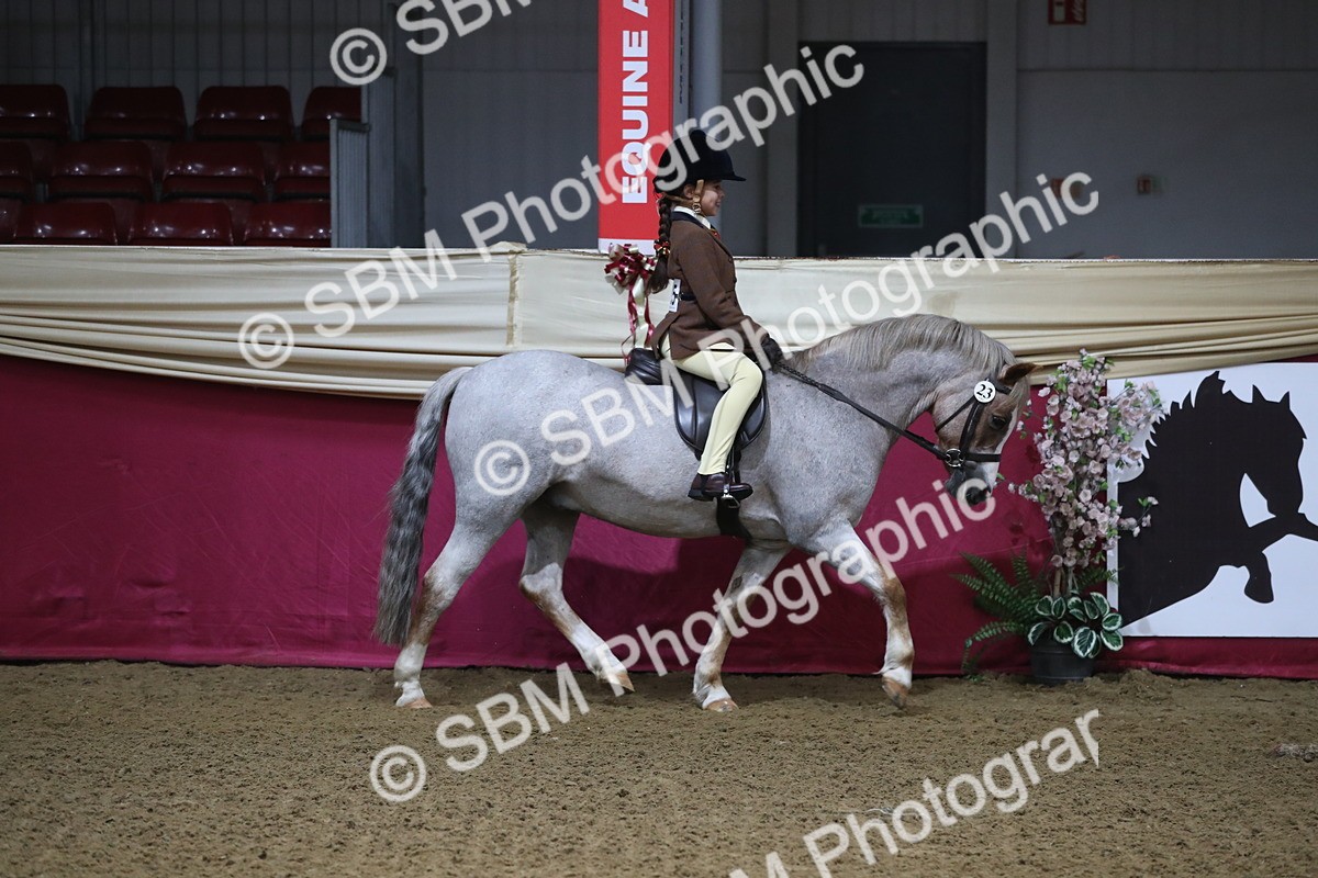 SBM_09255 - Class 101 Equitation (best rider), Junior