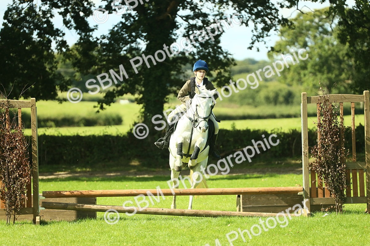 SBM_39275 - S29 - Novice & Newcomers Working Hunter Pony