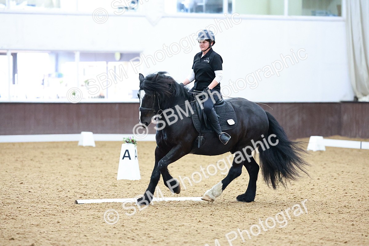 1I0A0811 - Class 3-6 - Prelim 1-Novice 2