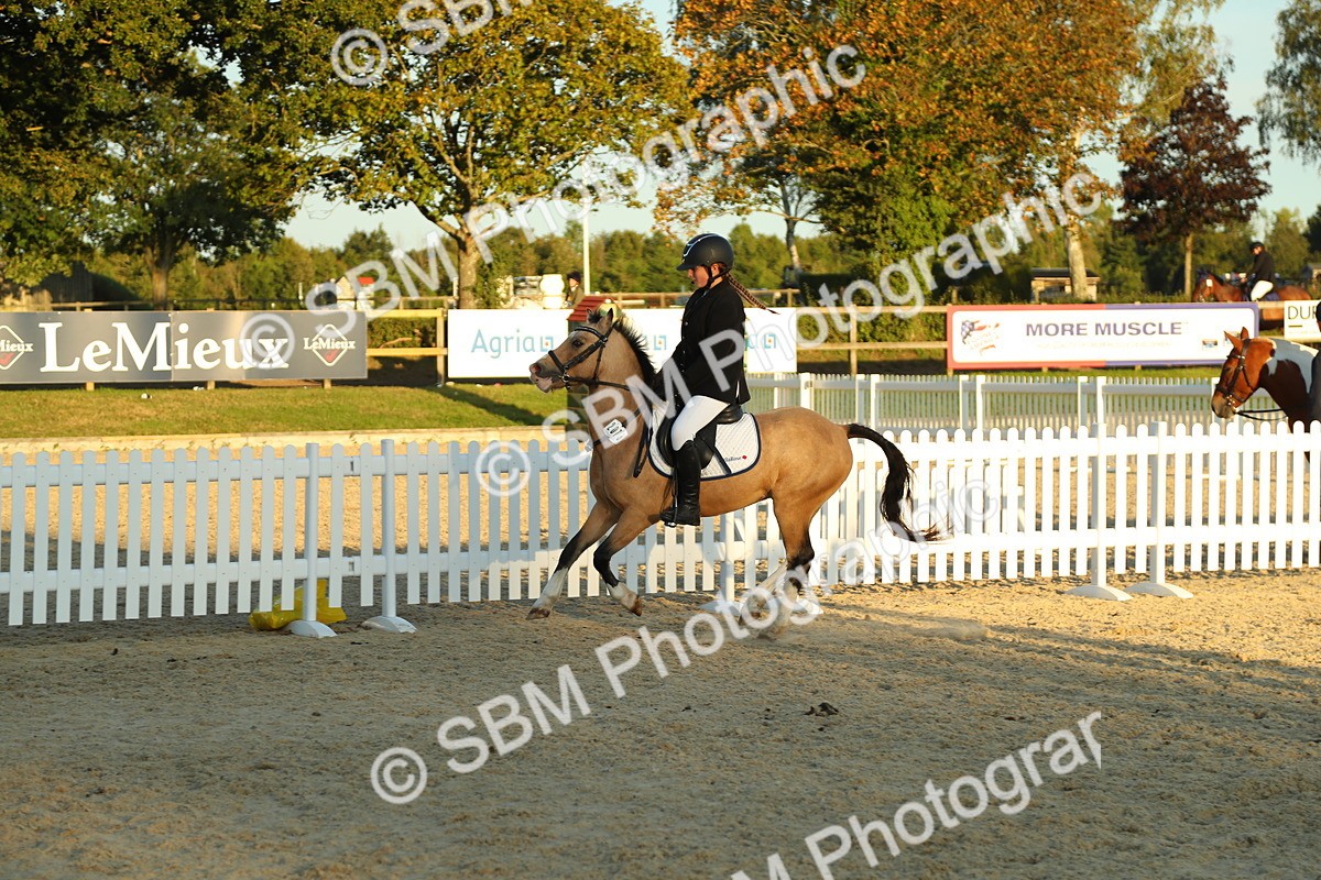SBM_53969 - J8 - Junior Pony 65cm Championship