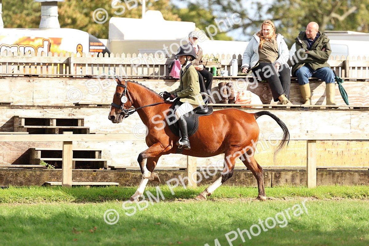 SBM_47796 - S28 - Veteran Ridden