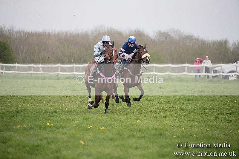 PtP 210418 358 - South & West Wilts Point-to-Point Larkhill 21/04/18