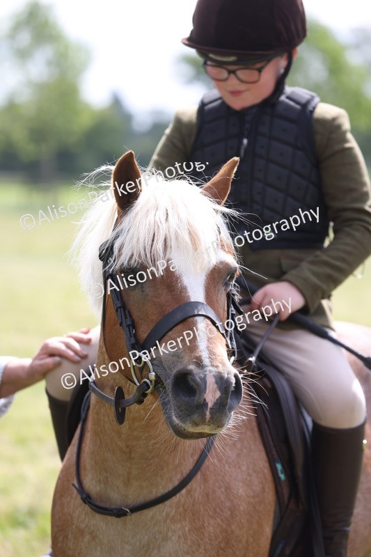 20260614-0737 - Class 20 - Beginners Working Hunter Pony