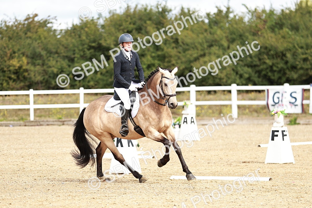 SBM_009909