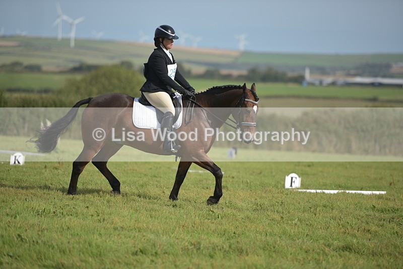 RAY_7749 - Class 2B: Trekenning Open: Dressage