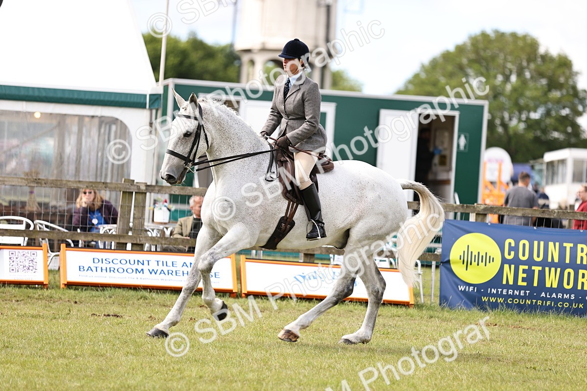 SBM_14695 - Class 88-89 - LIHS BSHA Rising Star of Ridden Hunter Type