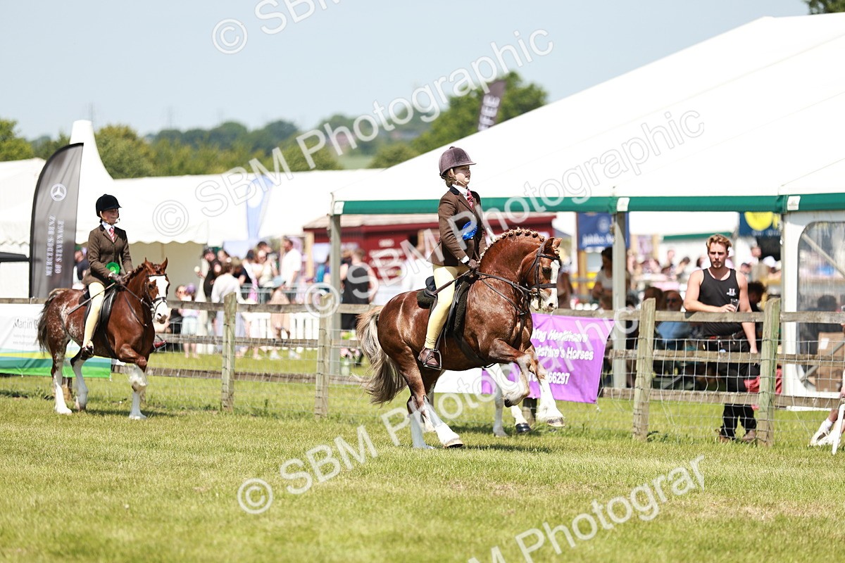 SBM_15750 - Class 108-109 - BSPS LIHS Open Gradle & Nursery Stakes