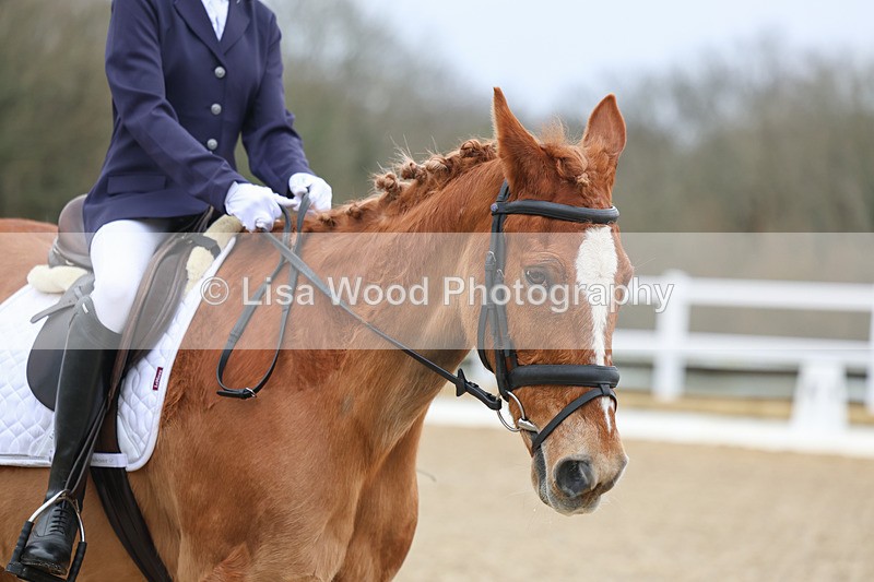 3E7A8342 - Class 1: Intro 1 2024 sec A - part one