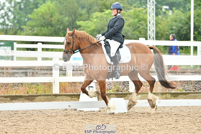 230708A-135428-02875 - Elementary 43