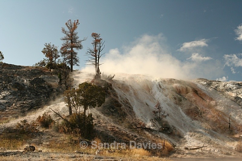  - Yellowstone