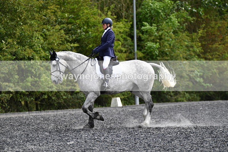 WJ5_2188 - Time 15:05 to 15:30