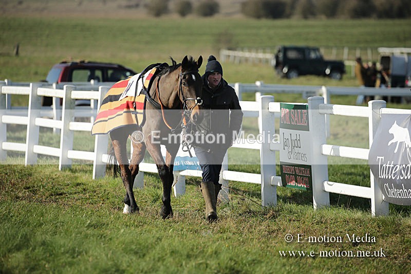 PtP 011219-0020 - Hursley Hambledon Hunt Point-to-Point 01/12/19
