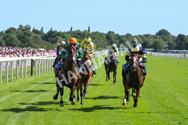 120725-Race 5-Amazing Journey-5899 - Race 5 4.15pm John Smith's Nursery Handicap