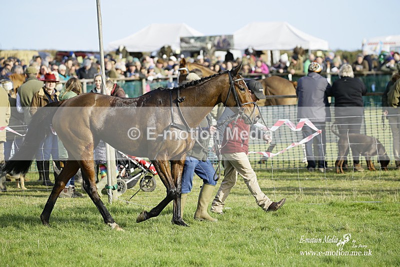 PtP 300122 290 - South Dorset Hunt - Point-to-Point Races 30/01/2022