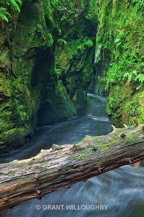 Finnich Gorge 3 - Woods Trees Gorges and Waterfalls