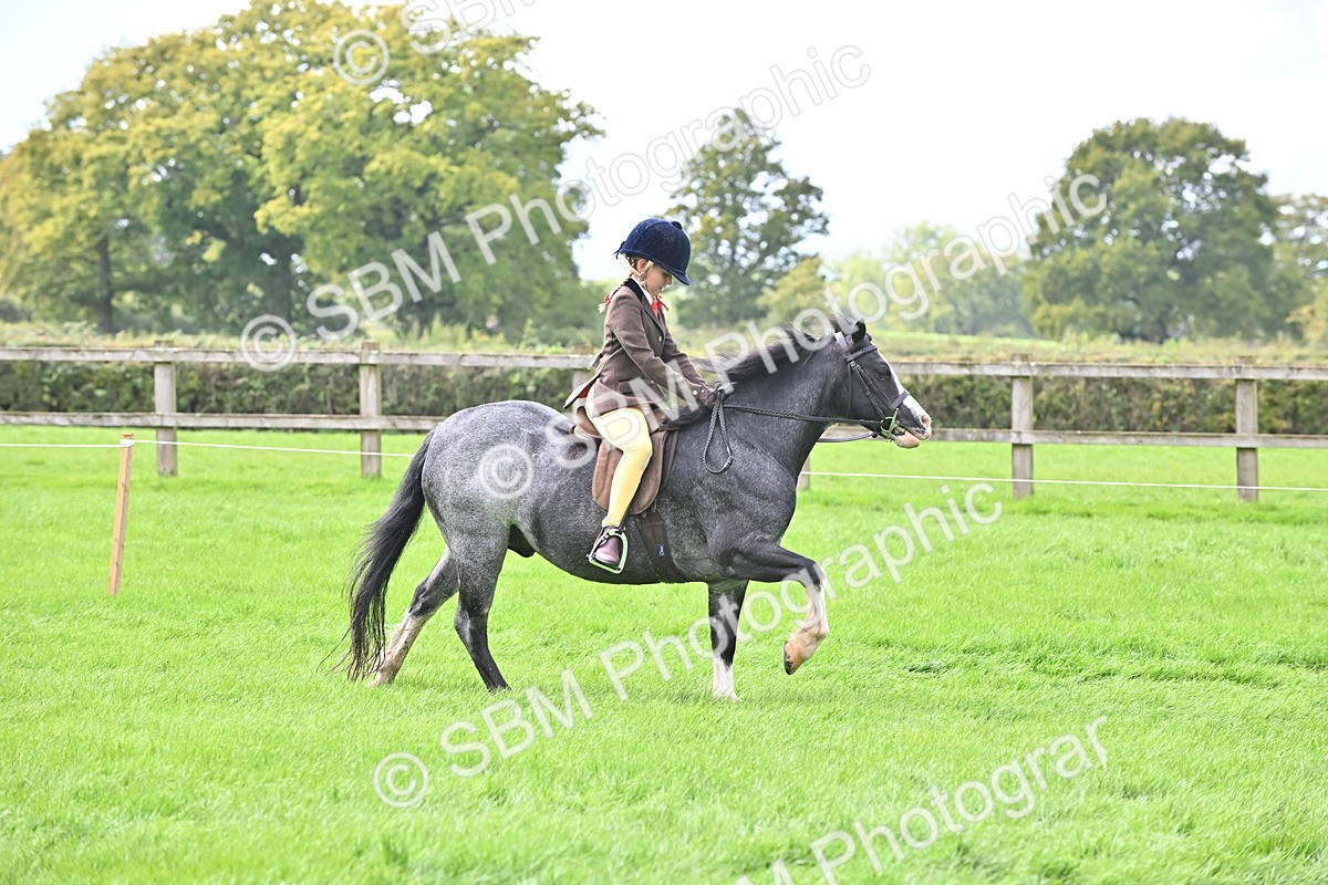 SBM_44482 - S13 - Pony Club Pony