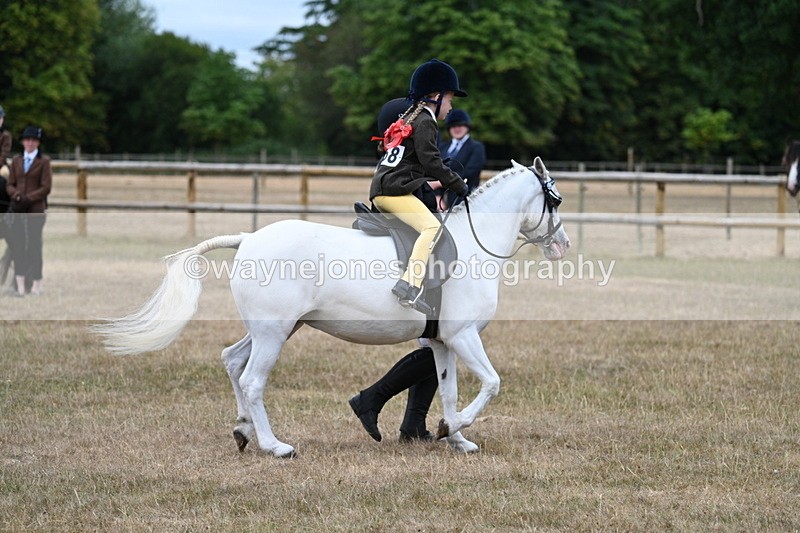 WJ7_6580 - Class 1 Lead Rein Pony