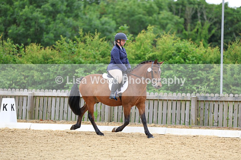 3E7A9535 - Class 2: Intro 1 2024 Section B