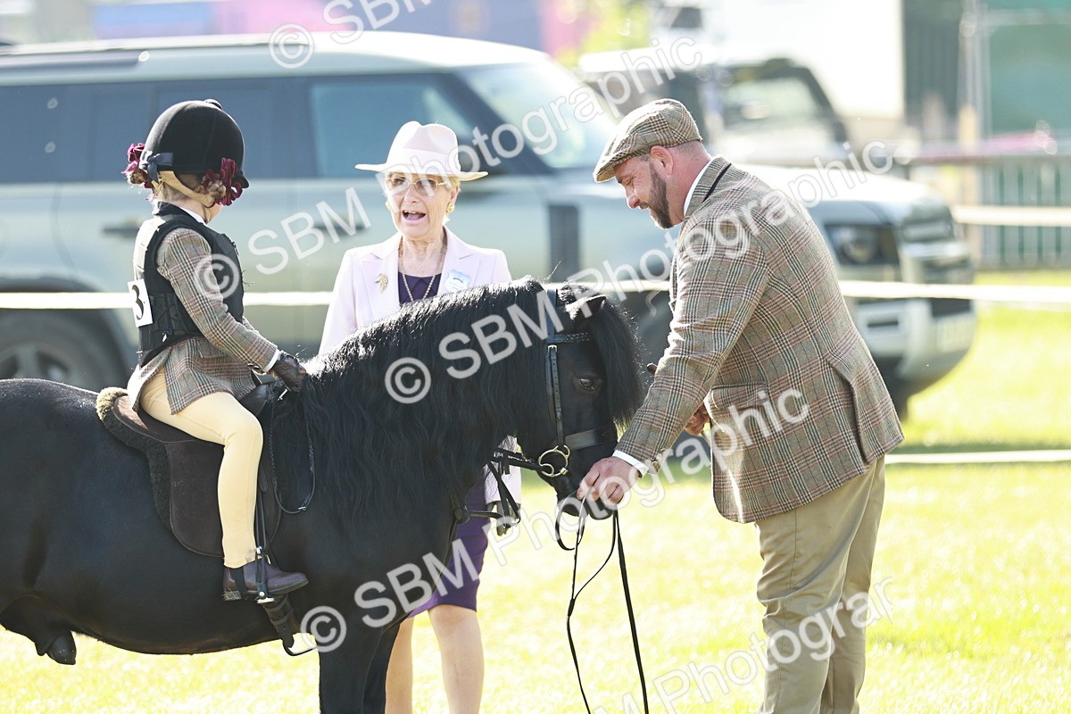 SBM_11161 - Class 106-107 - BSPS LIHS Working Sports Pony