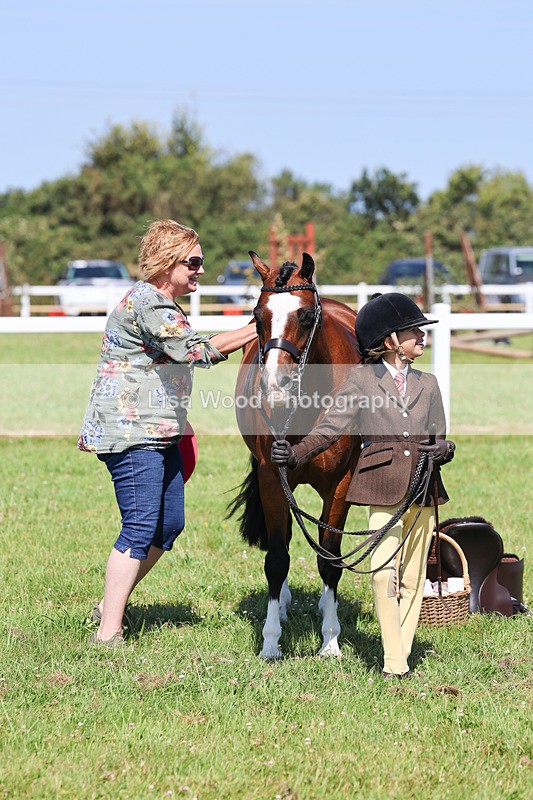 IMG_2033 - Class 34: Show Hunter Pony 153cm and under