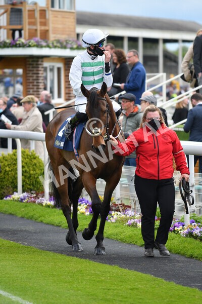 yr22052021r2-7 - Race 2 2.40pm William Hill Brontë Cup