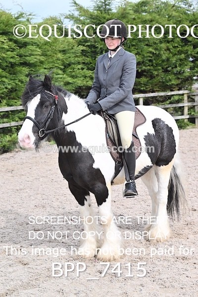 BPP_7415 - RING 1  (RIDDEN HORSES / IN HAND / VETERAN ETC)