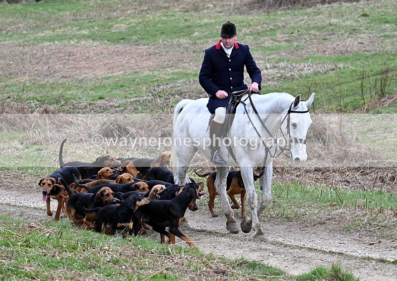 WJ7_7302 - Walk Home