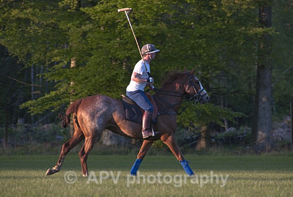 _DSC8296 - POLO Training