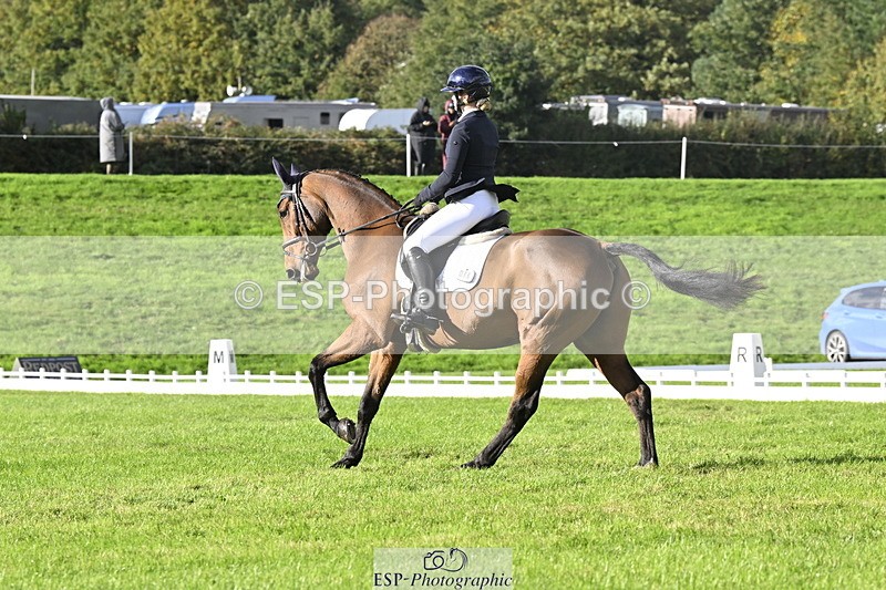 251023A-150937-04530 - E-386-Zara.Head