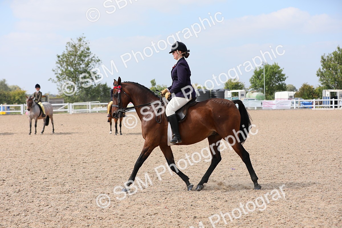 SBM_15605 - Class 311 Ridden Show Pony/ Show Hunter Pony