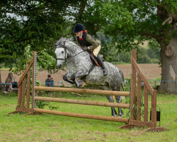 Dunblane show-621 - Dunblane and Doune Show Ring 1