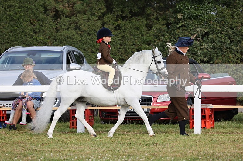 JPP_0257 - Class 14: Cornish Combination Leading Rein