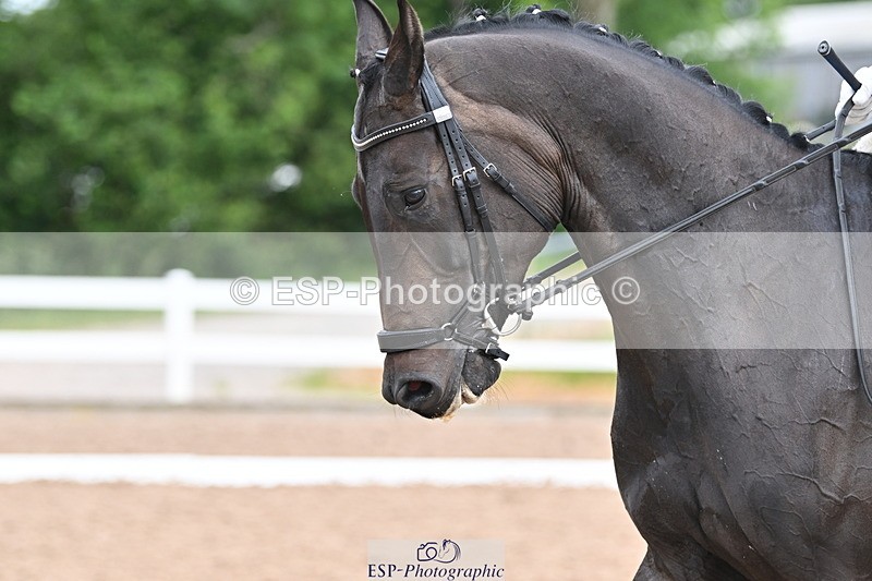 240623A-100540-16410 - Cls 45 BD Prelim 19