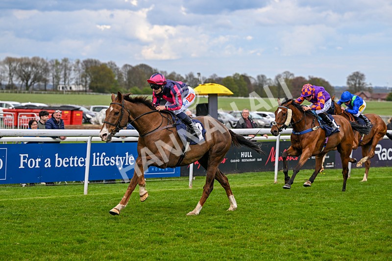 150426-Race 5-Elysian Flame-7114 - Race 5