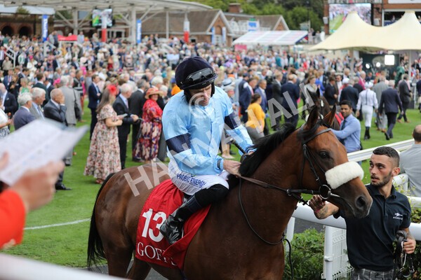 yr18082022r2-9 - Race 2 2.25pm Goffs UK Harry Beeby Premier Yearling Stakes