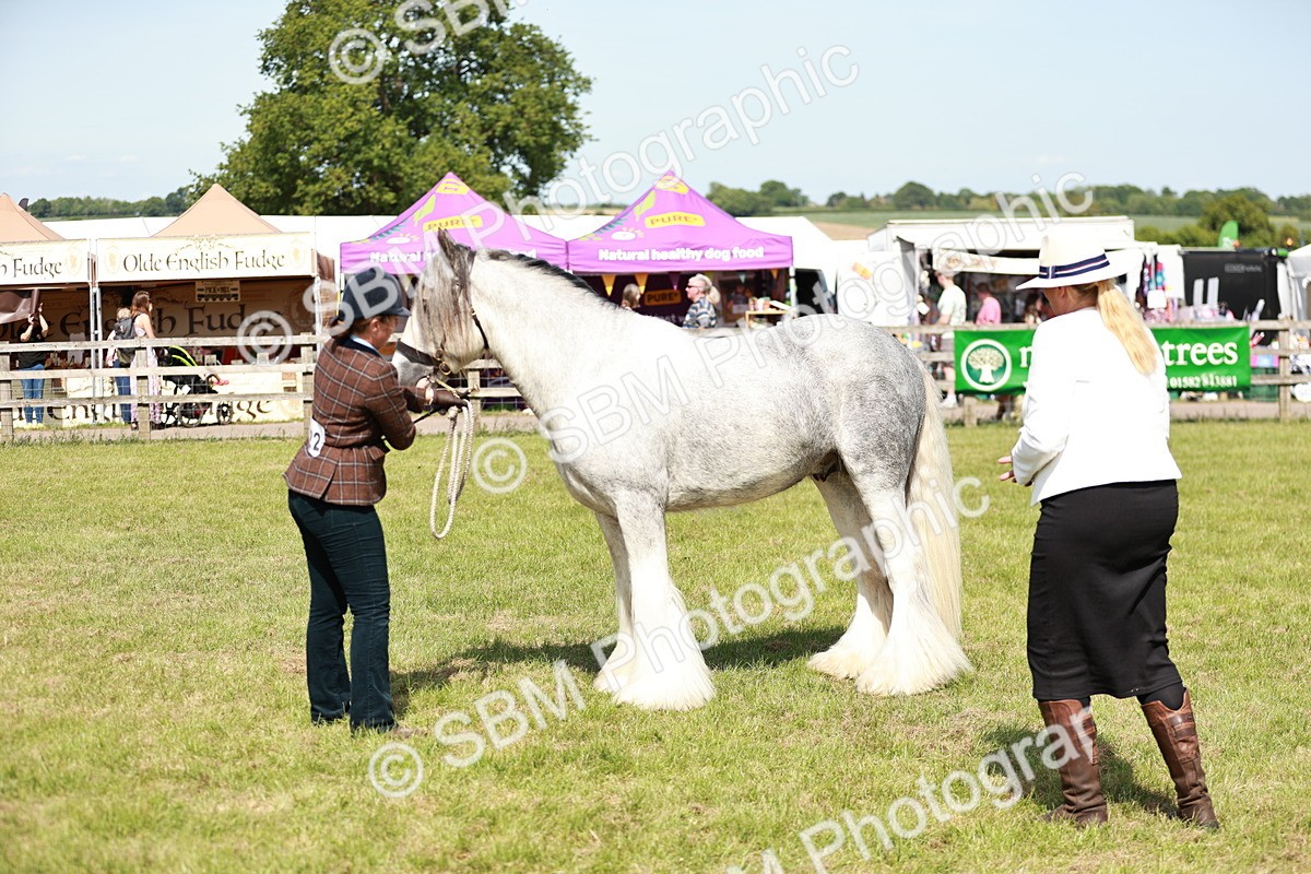 SBM_08568