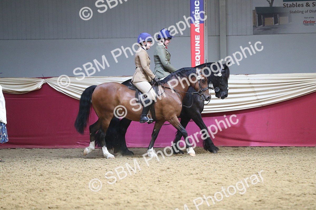 SBM_12937 - Class 109 Ridden Pairs- Section A