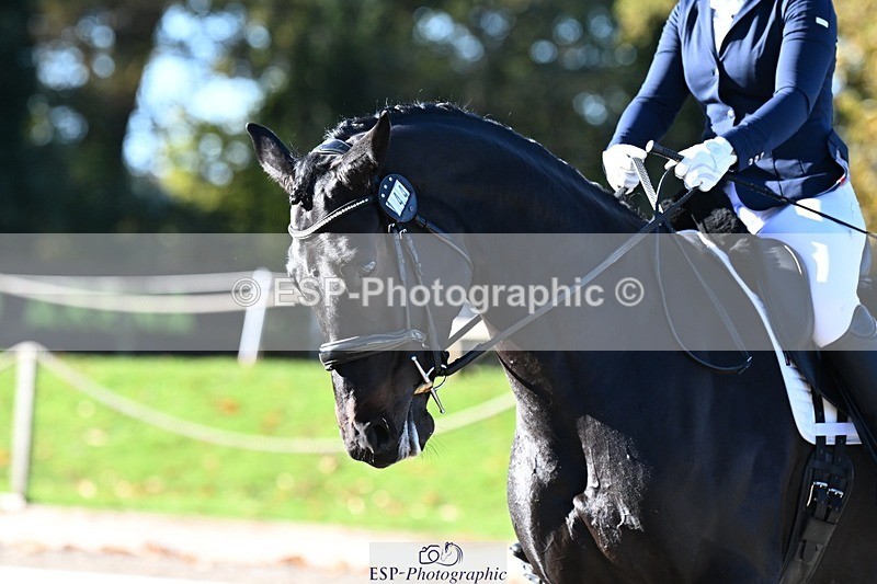 231110-101546-00035 - Cls 2 Prelim 17(a)Q