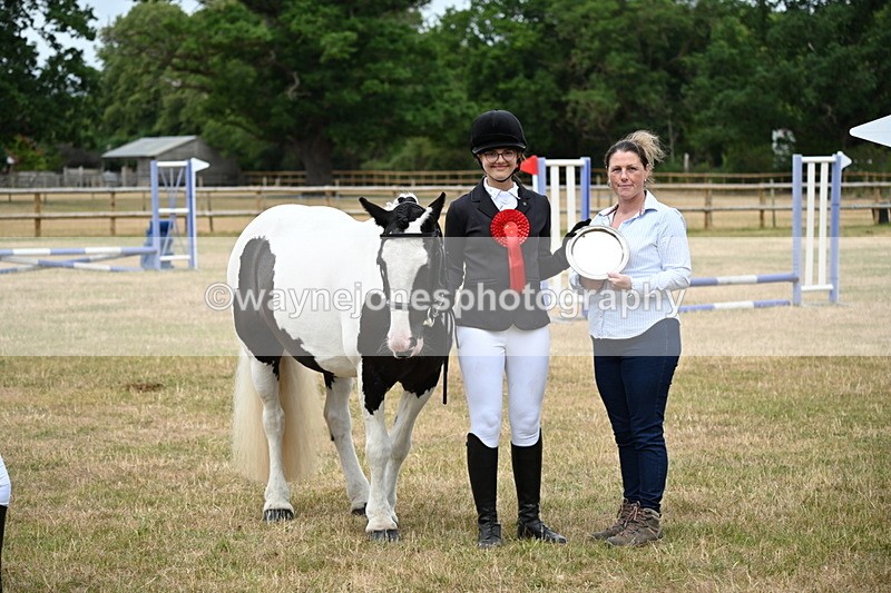WJ6_4446 - Class 10 Coloured In-hand